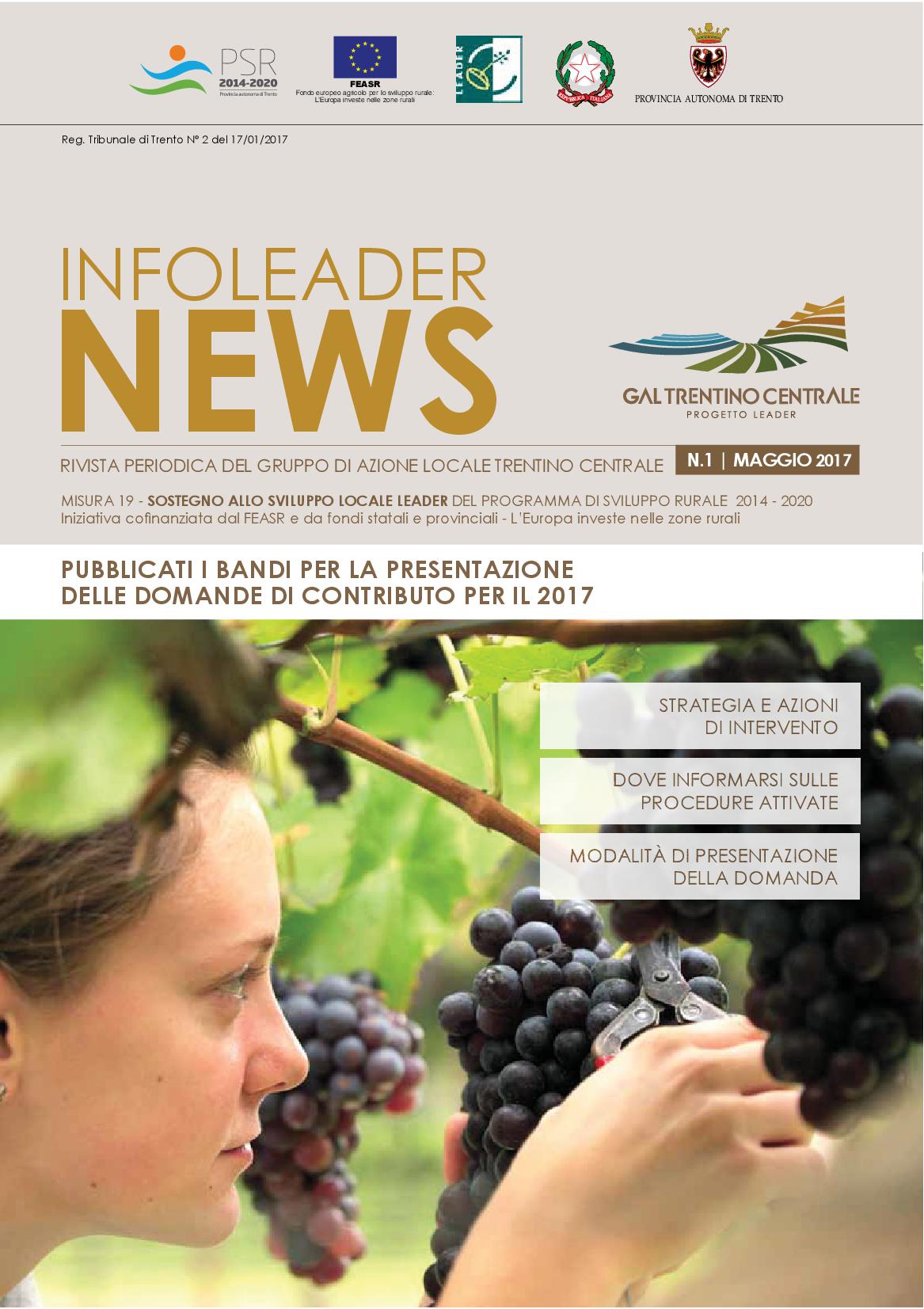 InfoLeader 2017 COPERTINA
